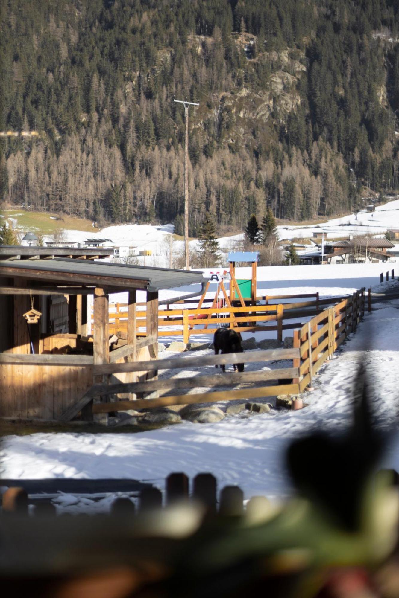 Ferienhaus Tirol Im Oetztal 엄하우젠 외부 사진