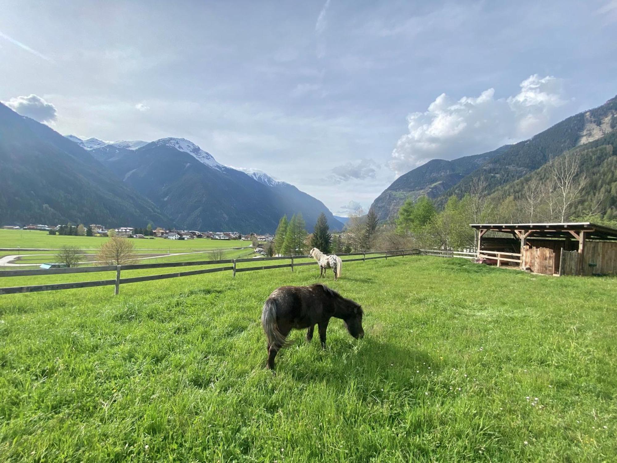 Ferienhaus Tirol Im Oetztal 엄하우젠 외부 사진